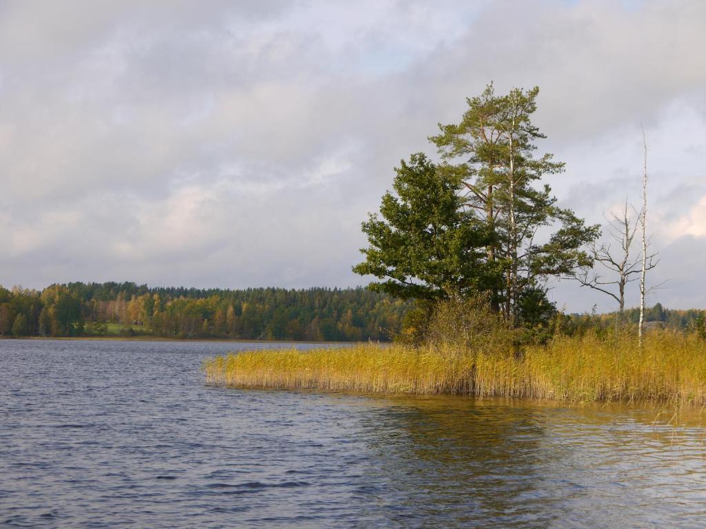 Brovillan Lekeryd Екстер'єр фото